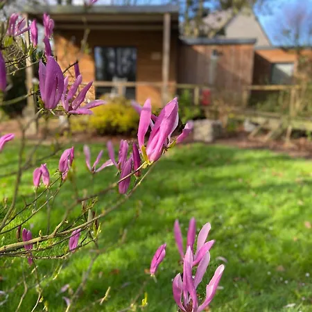 Bed and breakfast Le Clos Du Clocher