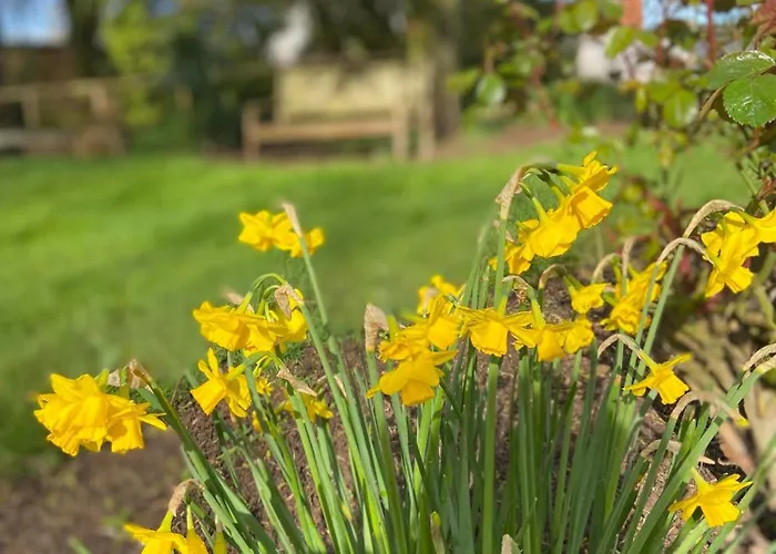Couette-café Le Clos Du Clocher