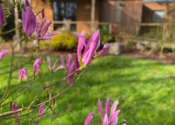 Couette-café Le Clos Du Clocher